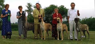 Jamocha Stud Dog GDCC 2002