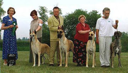 Silken Brood Bitch GDCC 2002