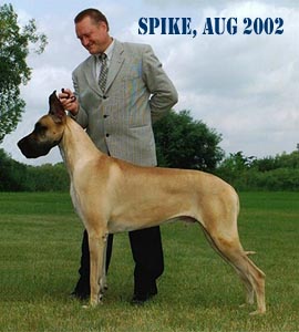 Spike US Major 21mths