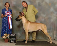 Spike, BISS GDCC 2002