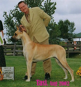 Tasi, Best in Sweeps, US